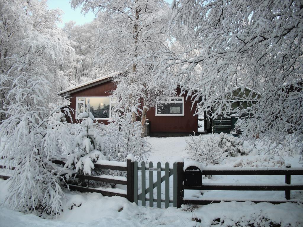 Torcroft Lodges Друмнадрочит Номер фото